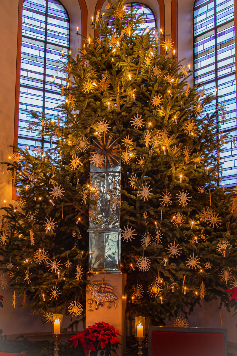 Christbaum gesucht