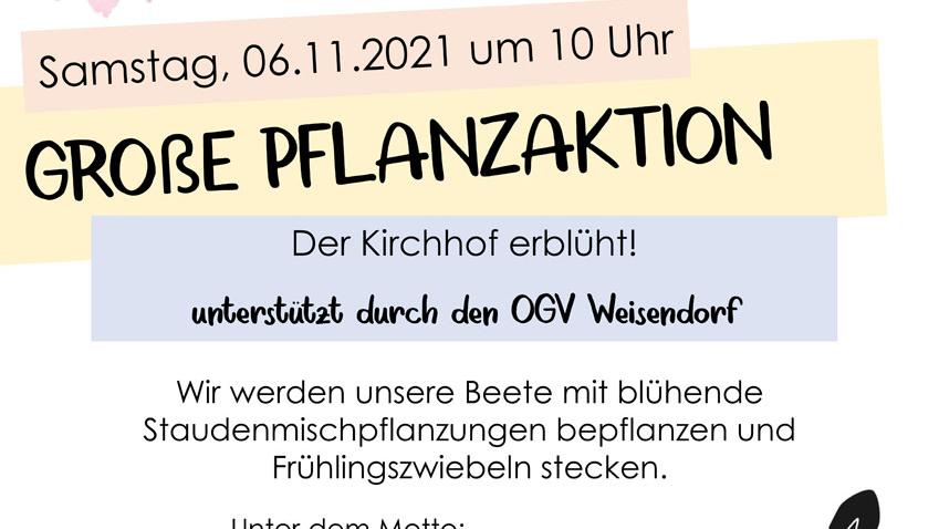 Große Pflanzaktion