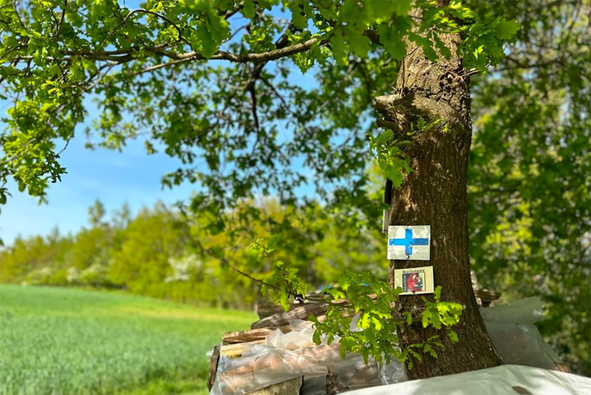 Marienweg
