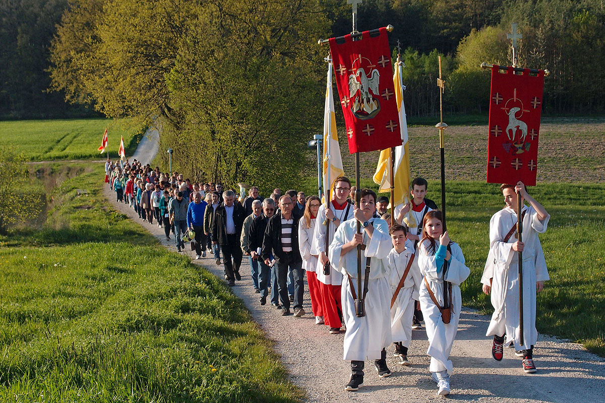 p5020151-jpg
